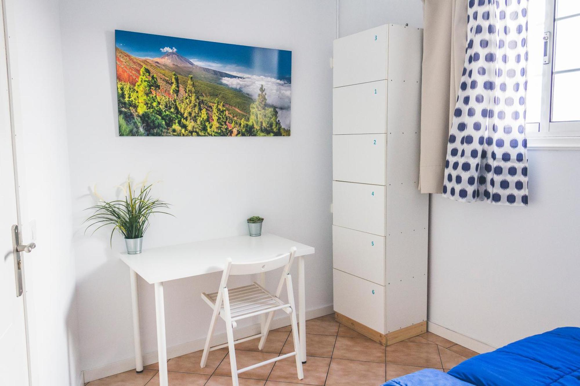 Aloe Vera Shared House エル・メダノ 部屋 写真